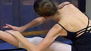 stephdrybrush